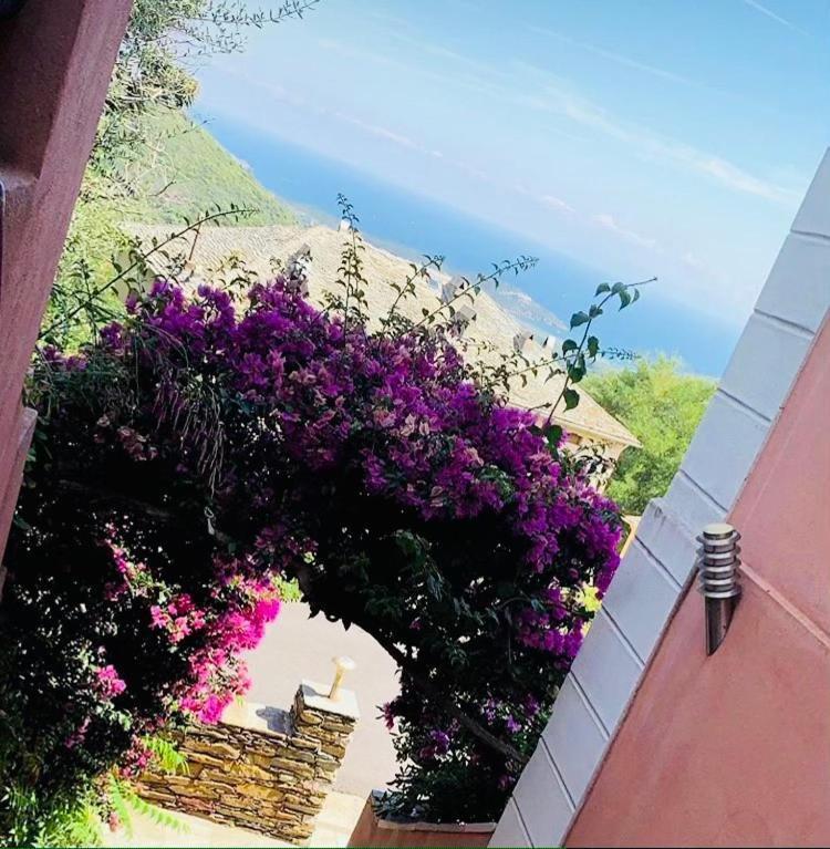 U Sant'Agnellu Hotell Rogliano Exteriör bild