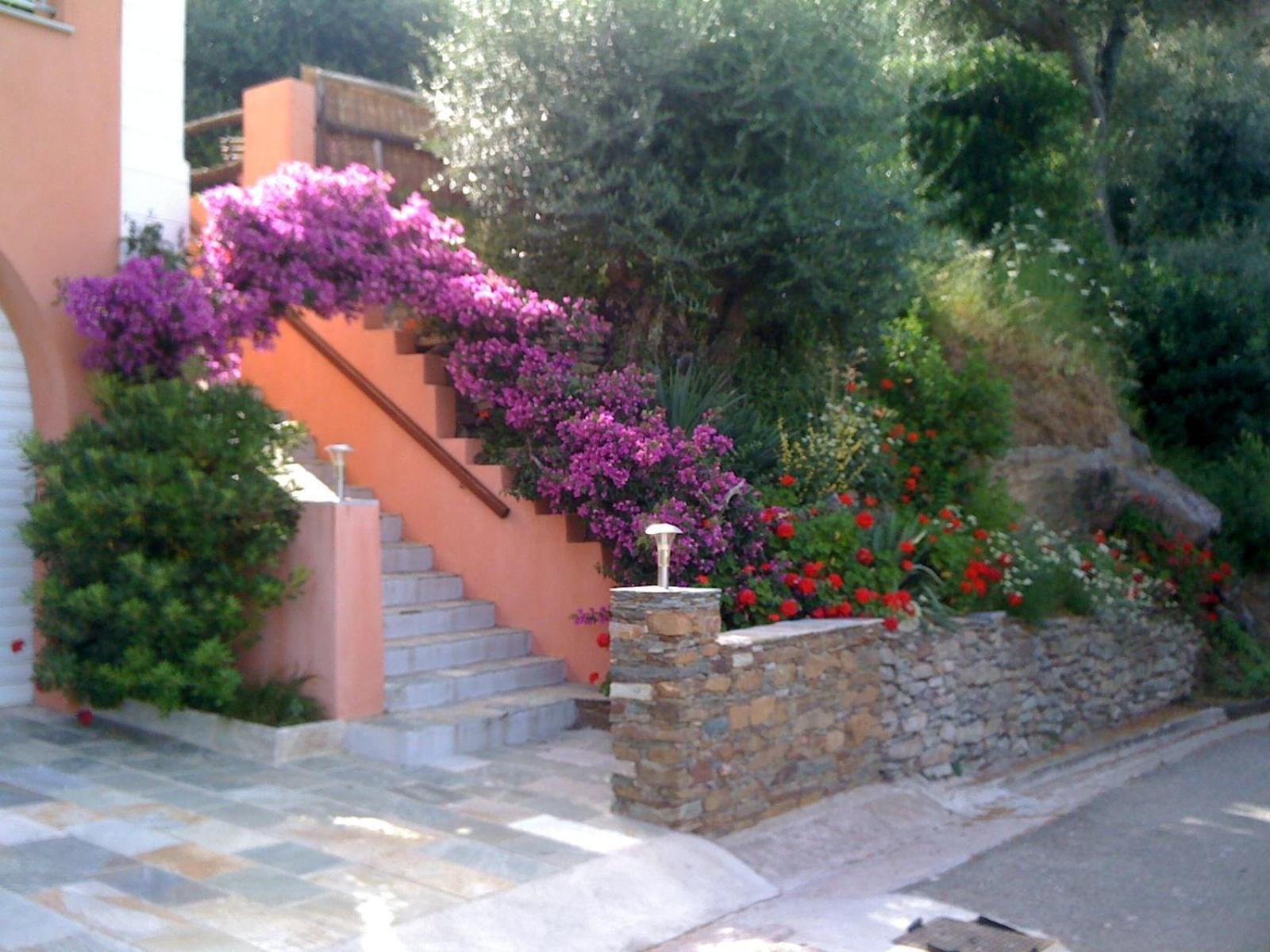 U Sant'Agnellu Hotell Rogliano Exteriör bild